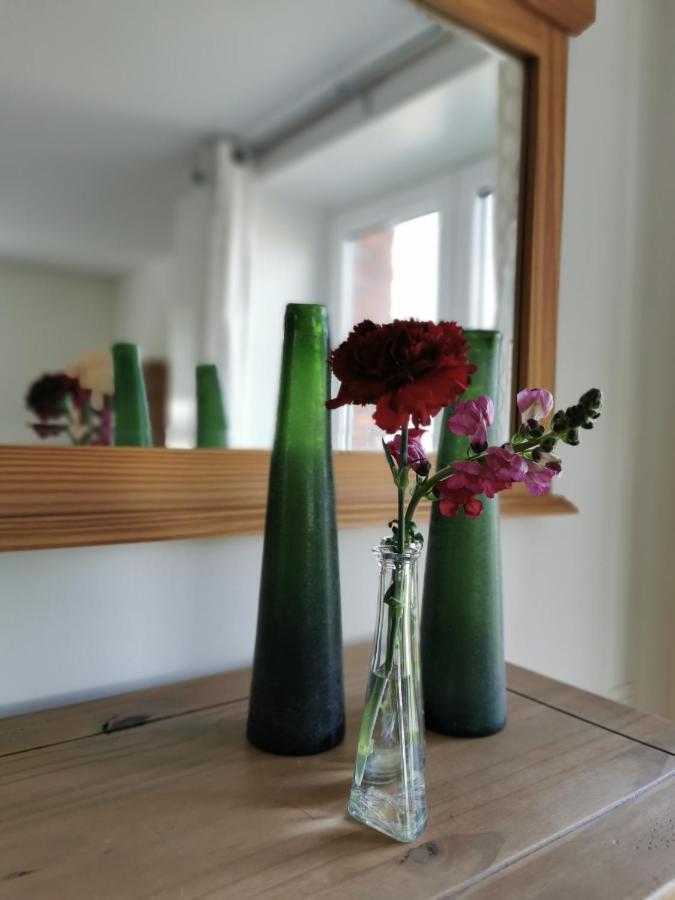 Housing De Brouwerij Bed & Breakfast Westdorpe Екстериор снимка