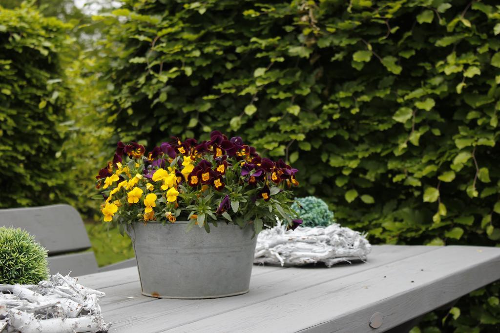 Housing De Brouwerij Bed & Breakfast Westdorpe Екстериор снимка
